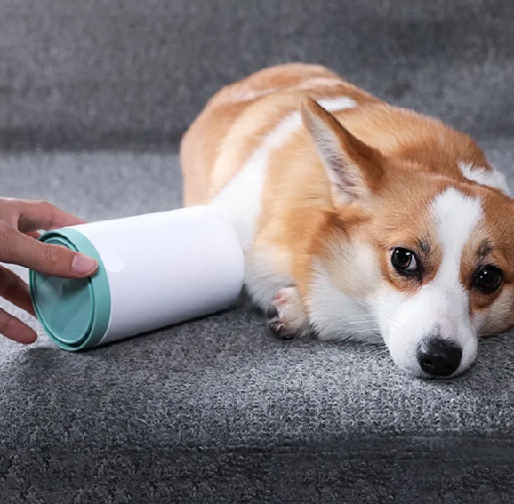 Pet Paw Cleaner